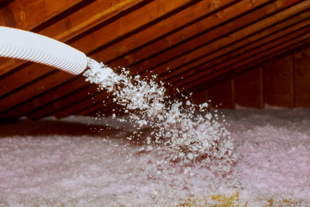 Best Energy Efficiency Solutions in Riverton, IL