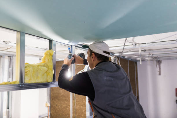 Best Insulation Installation Services in Riverton, IL