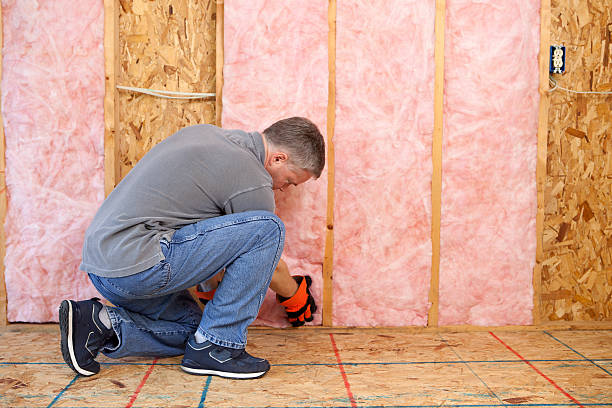 Best Energy Efficiency Solutions in Riverton, IL